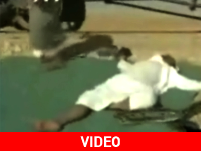 Ούτε φίδι στον κόρφο τους…